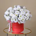 19 эустом