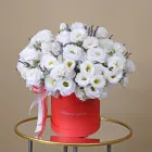 19 эустом