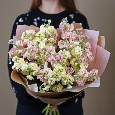 Желтая и персиковая маттиола
