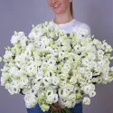 39 эустом