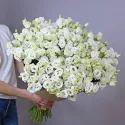 39 эустом