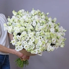 39 эустом