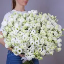 39 эустом