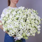 39 эустом