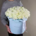 49 роз