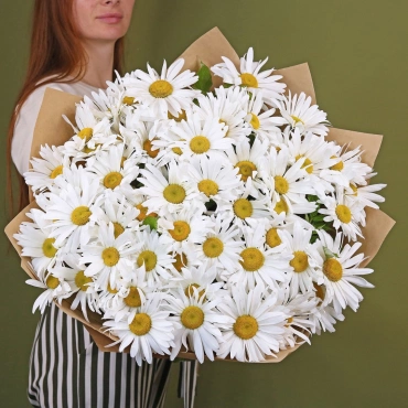 Букет садовых ромашек