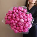 49 пионов