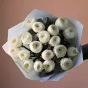19 ранункулюсов