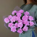 25 гвоздик