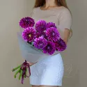 9 георгин