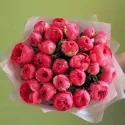 25 пионов