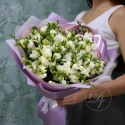 49 фрезий