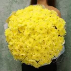 35 кустовых хризантем