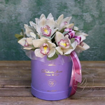 Орхидея цимбидиум в коробке в ассортименте