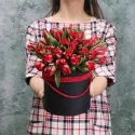 25 тюльпанов