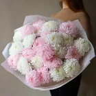 29 хризантем