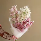 3 орхидеи