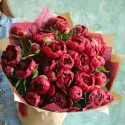 29 пионов