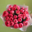 25 пионов