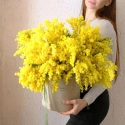 29 соцветий мимозы