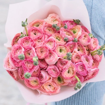 Ранункулюсы персиково-розовые