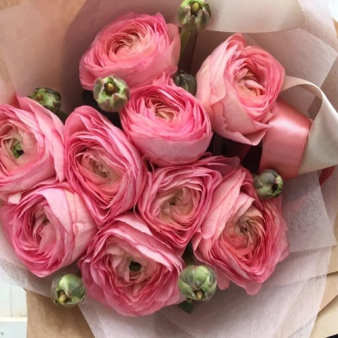 Ранункулюсы персиково-розовые