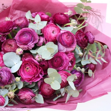 Сливовые ранункулюсы