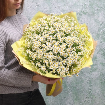 Ромашки Камилла