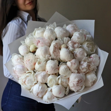 Нежно-розовые пионы