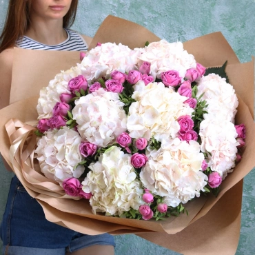 Гортензия и Мисти Баблс