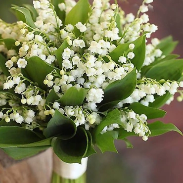 Букет из Ландышей