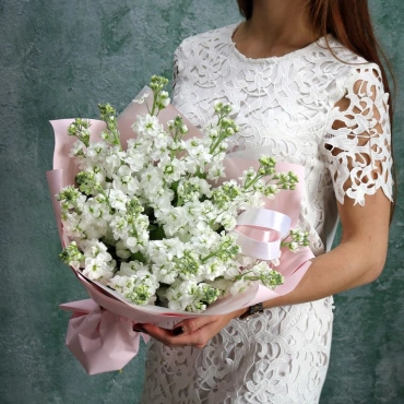 Белая Маттиола