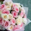 23 розы