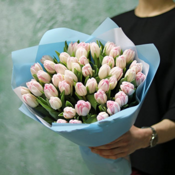 Махровые тюльпаны Факстрот