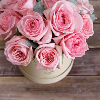 Пионовидные розы Пинк Охара в коробке