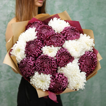 Хризантемы шаровидные белые и фиолетовые