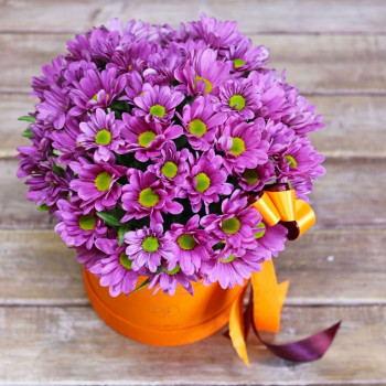 Фиолетовые хризантемы в оранжевой коробке