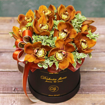 Оранжевая орхидея в коробке
