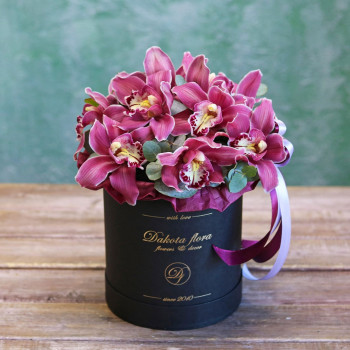 Фиолетовая орхидея в коробке