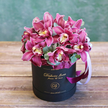 Фиолетовая орхидея в коробке
