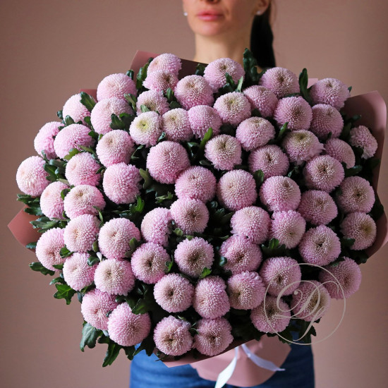 65 хризантем