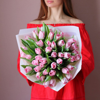 Голландские розовые тюльпаны