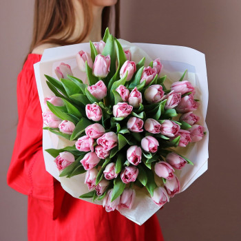 Голландские розовые тюльпаны