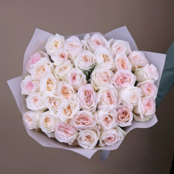 Вайт Охара пионовидные розы