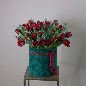 Коробка с махровыми тюльпанами
