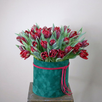 Коробка с махровыми тюльпанами