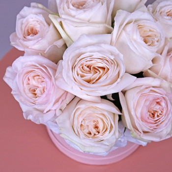 Пионовидные розы Вайт Охара в коробке