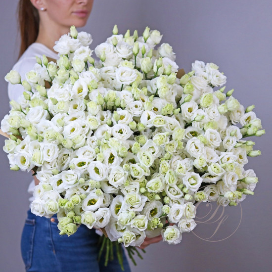 39 эустом