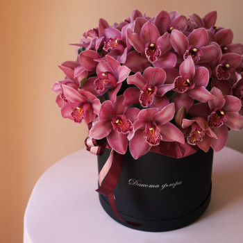 Орхидея цимбидиум в черной коробочке