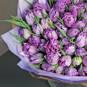 Большой букет из фиолетовых махровых тюльпанов